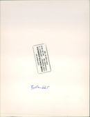 BAREN ANIMALS GOGGLES FRANKFURT STATISTER POSTGIROA - Vintage Photograph