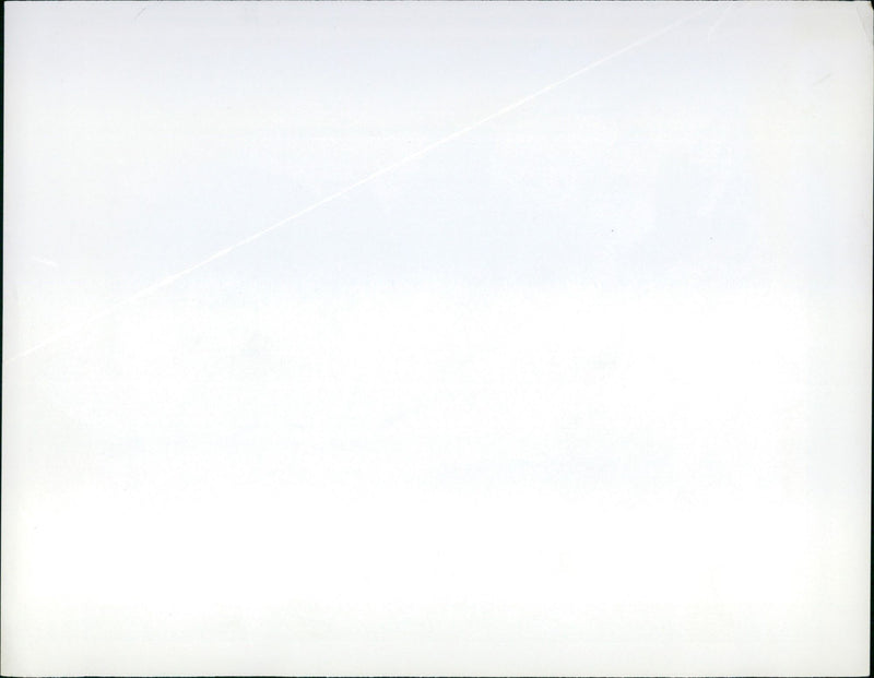 QUAS KANGURUH DARES BACKGROUND THIS PRIMITIVE ANIMA - Vintage Photograph