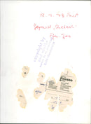 Cheetah "Shetaah", Frankfurt Zoo - Vintage Photograph