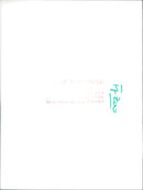 Cheetah in the Frankfurt Zoo - Vintage Photograph