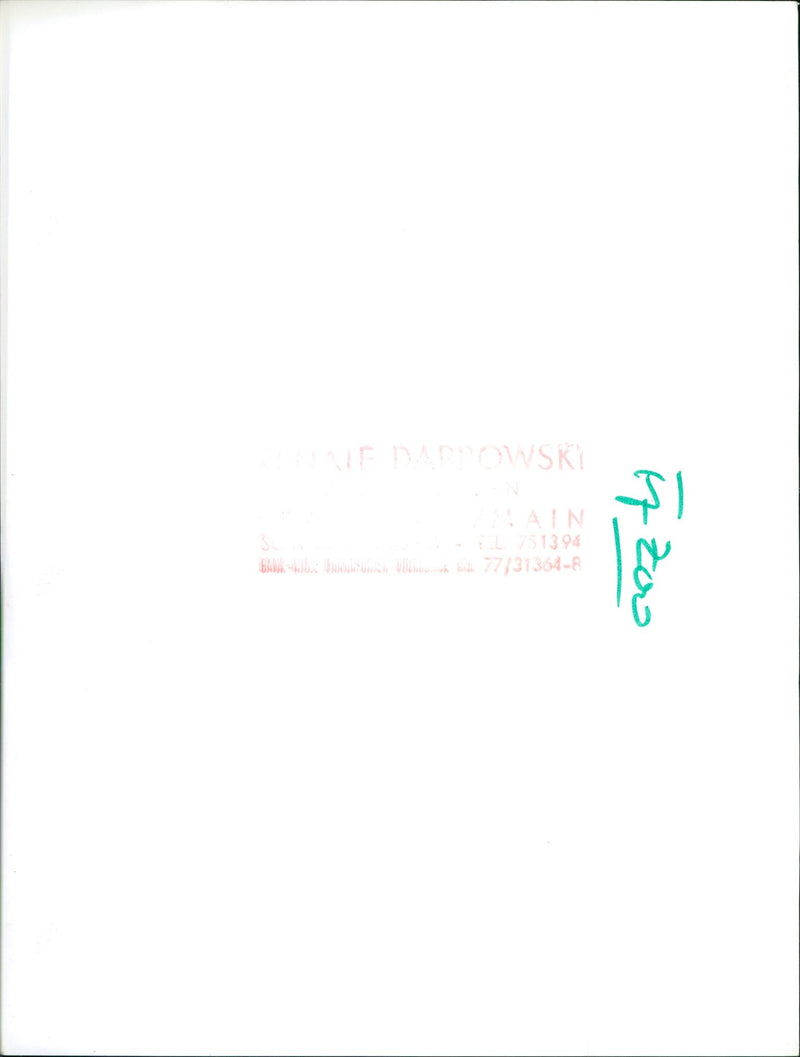 Cheetah in the Frankfurt Zoo - Vintage Photograph