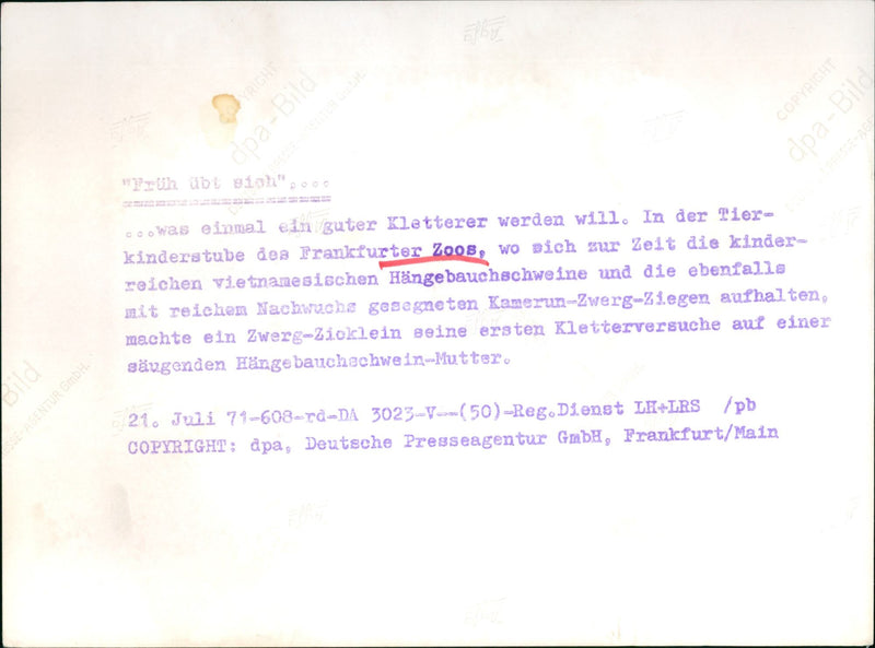 Dwarf kids making their first attempts at climbing - Vintage Photograph