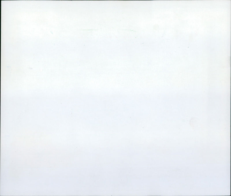 1991 PIGS GOATS YOUNG GOVERNMENTS PLAY FRANKFURT ZOO - Vintage Photograph