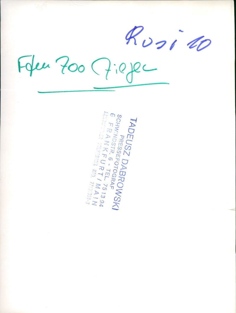 Goat in the Frankfurt Zoo - Vintage Photograph