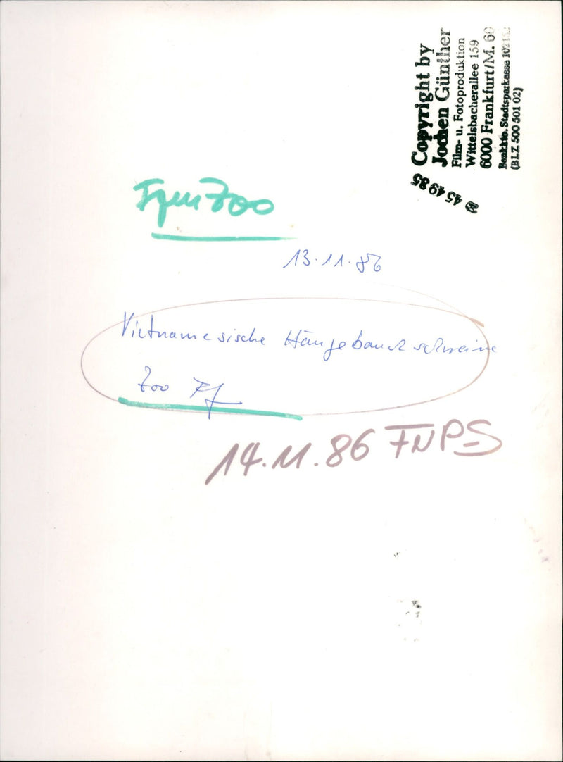 Pot-bellied pig and goat - Vintage Photograph