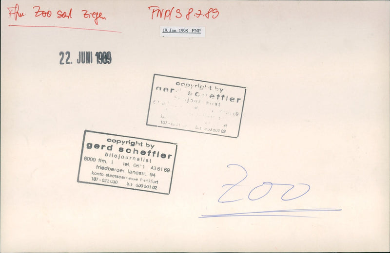 Goat and camel in the Frankfurt Zoo - Vintage Photograph