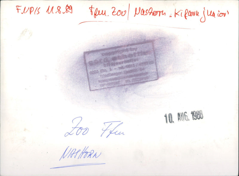 Frankfurt Zoo - Vintage Photograph