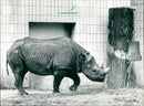 Frankfurt Zoo - Vintage Photograph