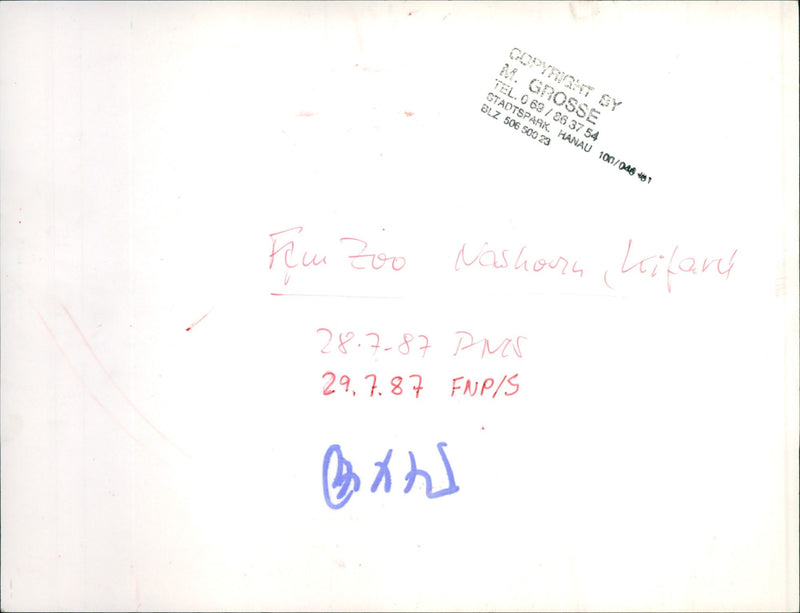 Frankfurt Zoo - Vintage Photograph