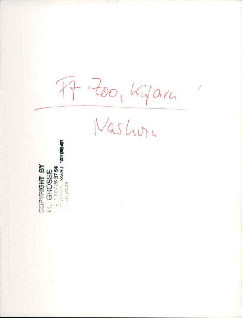 Frankfurt Zoo - Vintage Photograph