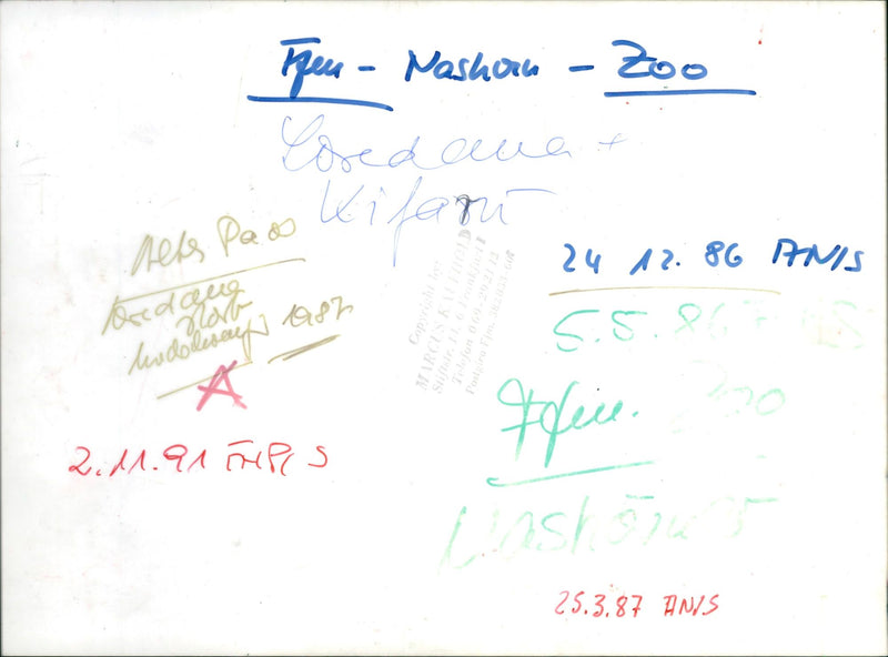 Frankfurt Zoo - Vintage Photograph