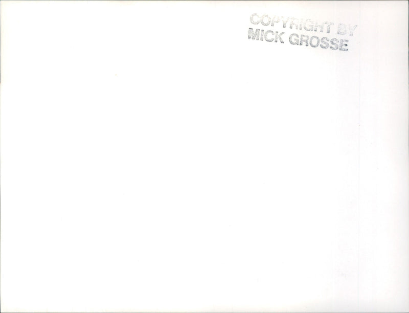 Frankfurt Zoo - Vintage Photograph