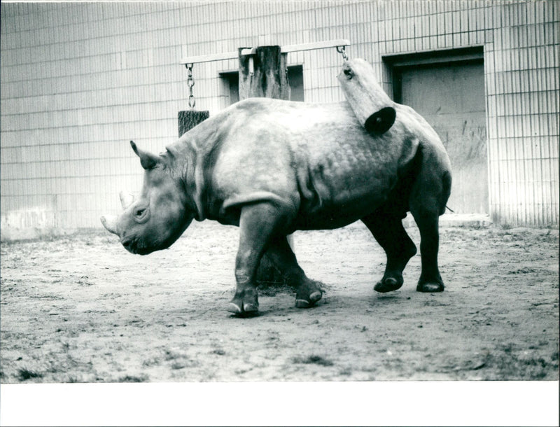 Frankfurt Zoo - Vintage Photograph