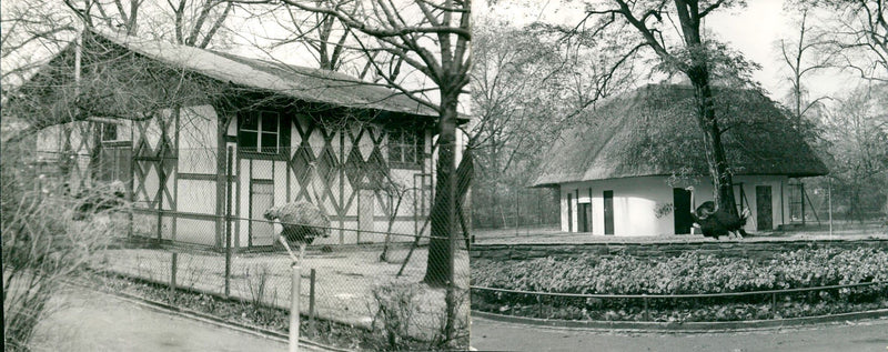 1979 Okapia movie Frankfurt Mainz - Vintage Photograph