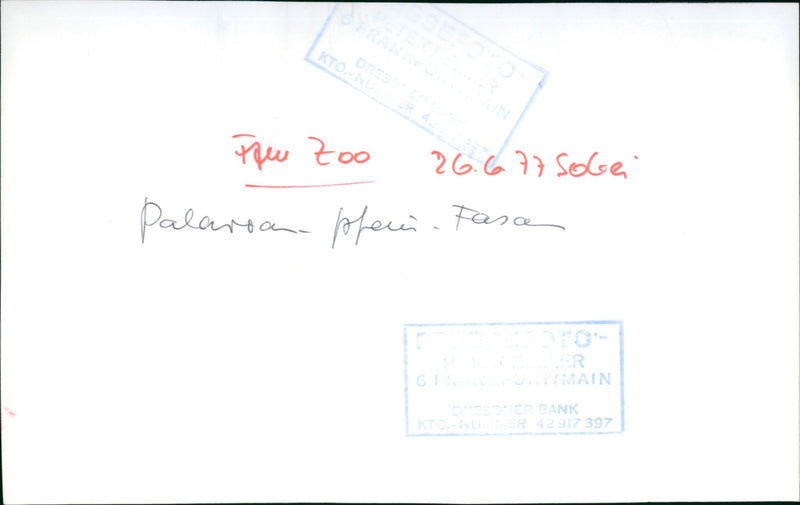 Peacock from Frankfurt Zoo - Vintage Photograph