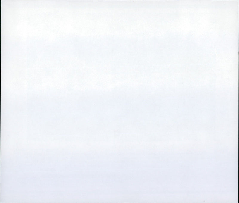 1993 DMANNCHEN SUN EXPERIENCED GUYS CURRENTLY COME ZOO MELBOURNE - Vintage Photograph