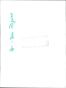 Penguins - Vintage Photograph