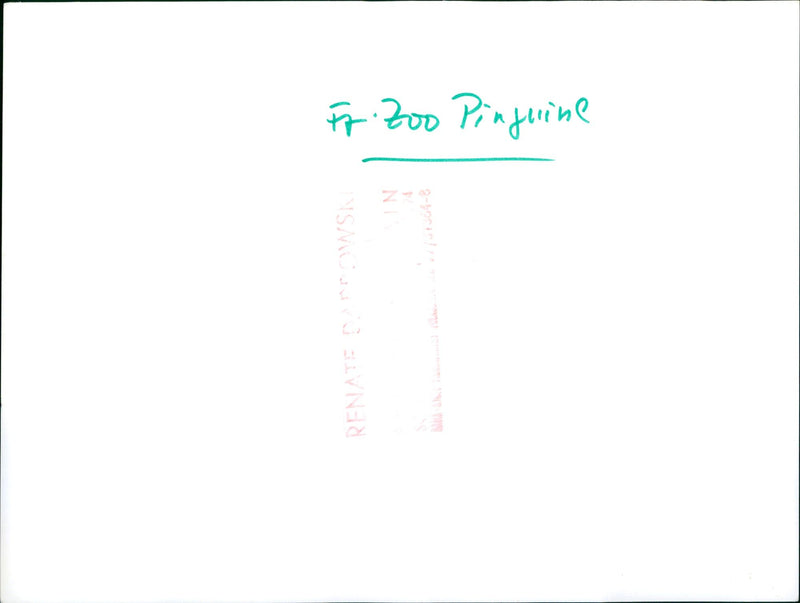 Penguins in the Exotarium of the Frankfurt Zoo - Vintage Photograph