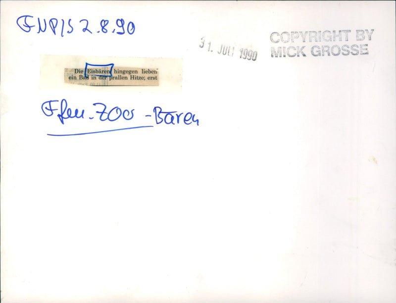 1990 polar bears - Vintage Photograph