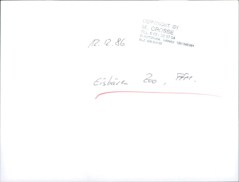 1986 ROQS TEL STADTSPARK HANAU BLZ ICE ZOO LARGE - Vintage Photograph