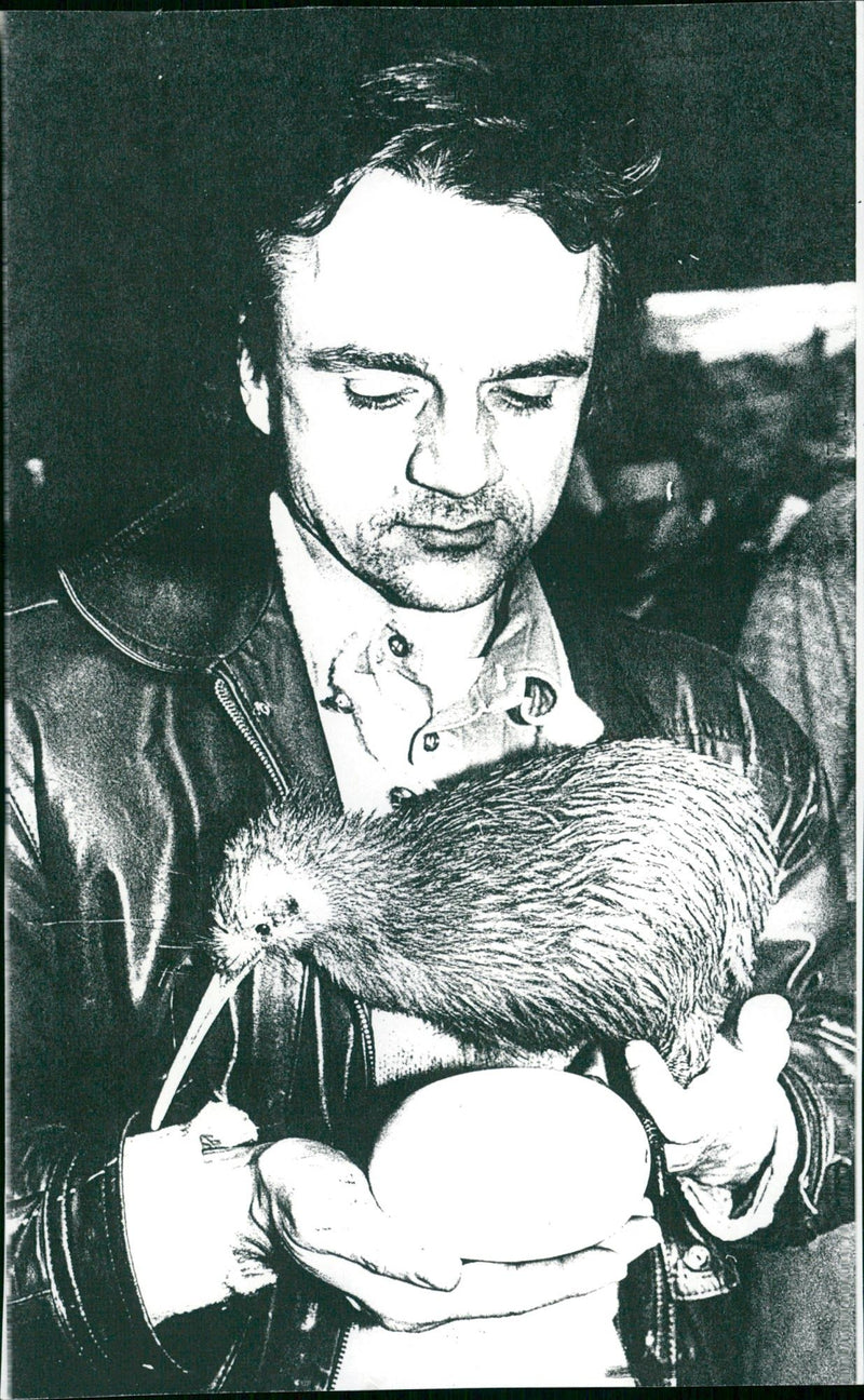 1994 FRANKFURT ZOO BIRD KIWI ANIMALS NEW - Vintage Photograph