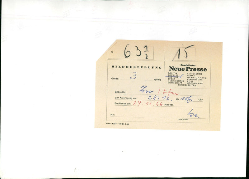 Flamingos - aerial view - Vintage Photograph