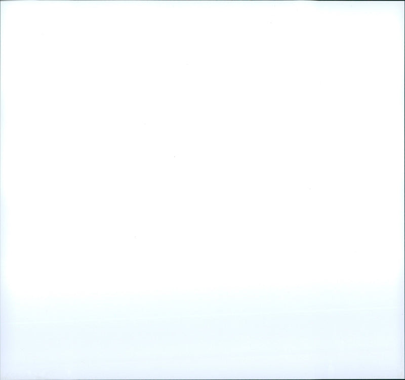 1980 GIRAFFENBABU CHIRA GIRAFFE THAT THOUGHT - Vintage Photograph