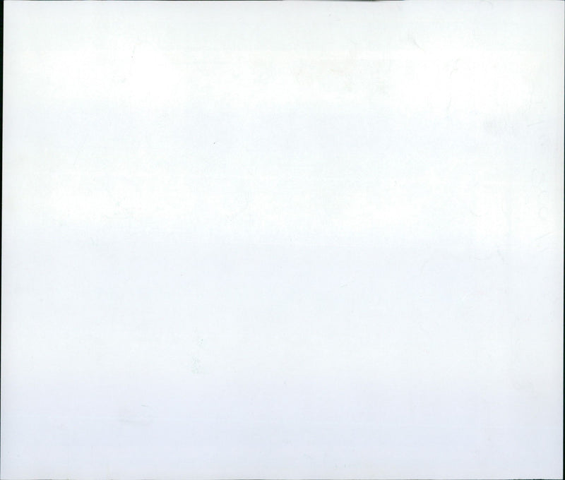 GIRAFFE DEVOTEDLY LICKS DRUNK ZOO FRANKFURT GERMANY - Vintage Photograph