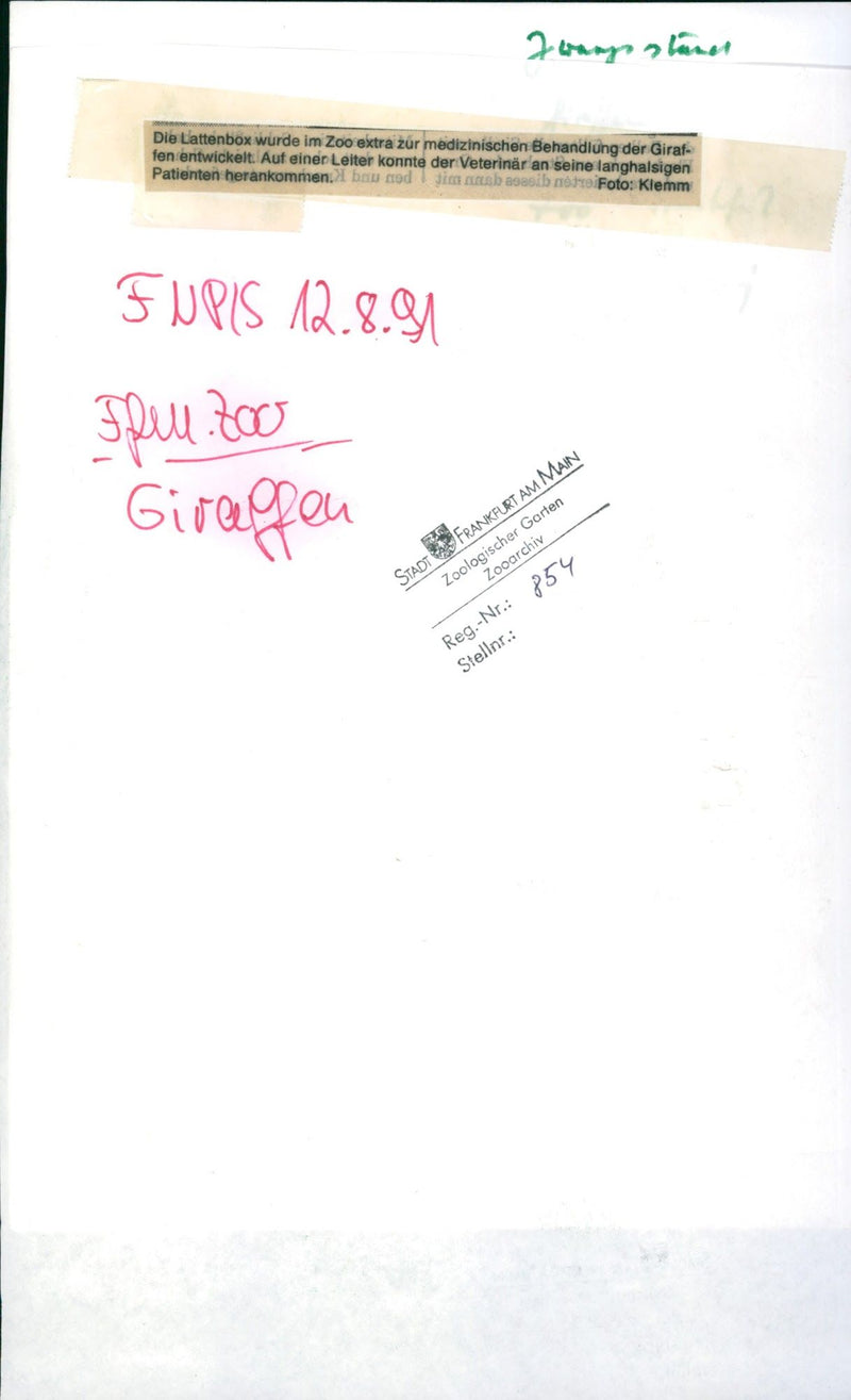 1991 ZOOLOGICAL GARDEN ZOO ARCHIVE REG SIELLNR KIEMM PRESEFOLOTO FUPIS - Vintage Photograph