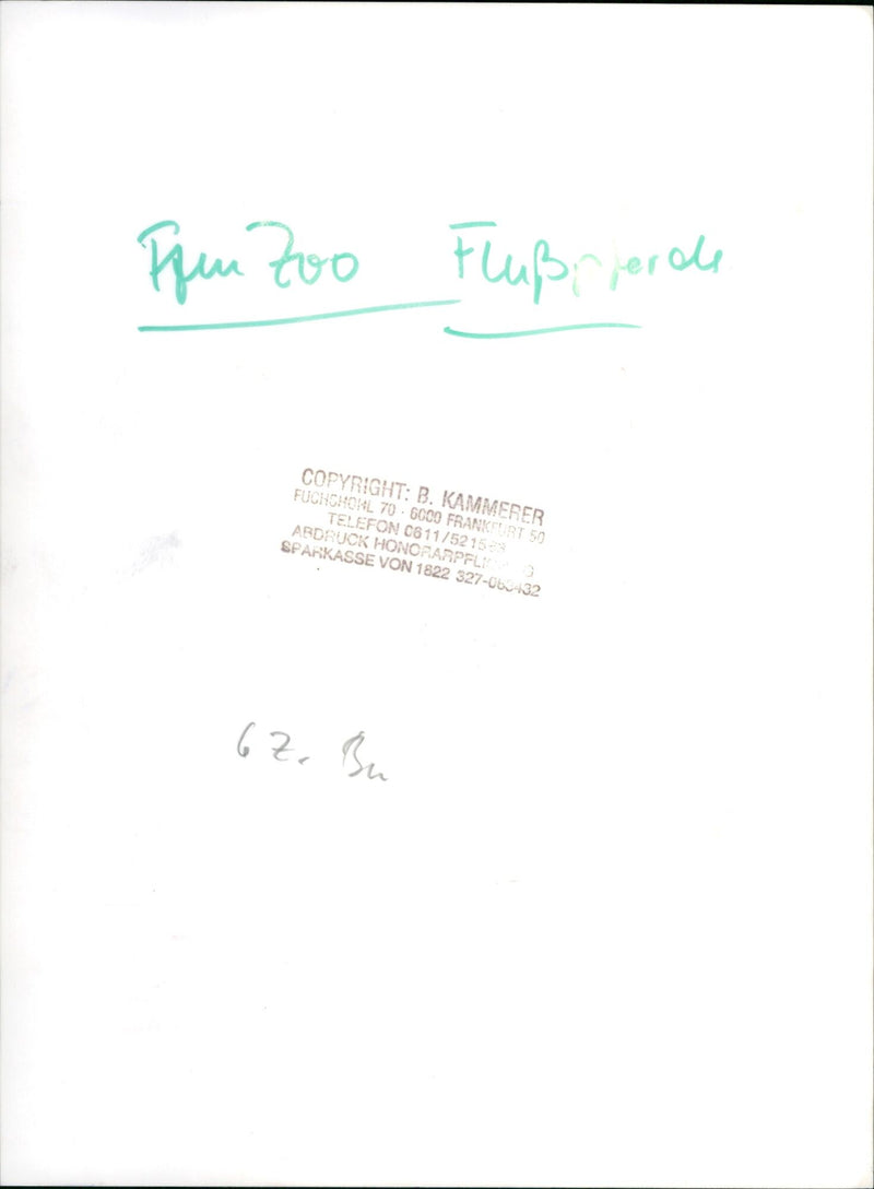 FREE ZOO FLUROCHE TIE JEODE KAMMERER FUCCHONL FRANKFURT ABD - Vintage Photograph