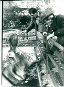 FREE ZOO FLUROCHE TIE JEODE KAMMERER FUCCHONL FRANKFURT ABD - Vintage Photograph