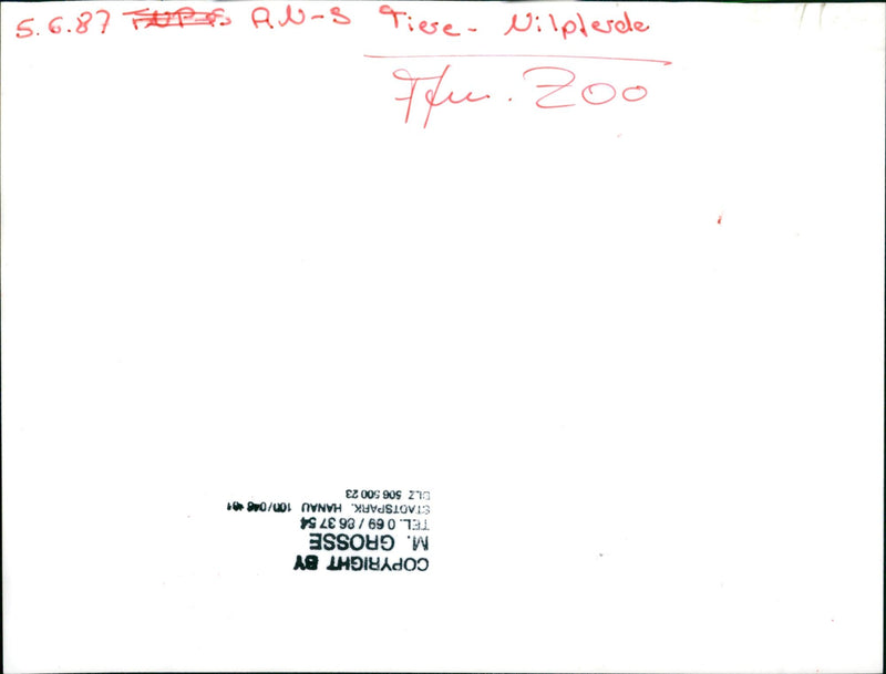 JEODE TEL STAOTSPARK HANAU DLZ POZINKT APROP LARGE - Vintage Photograph