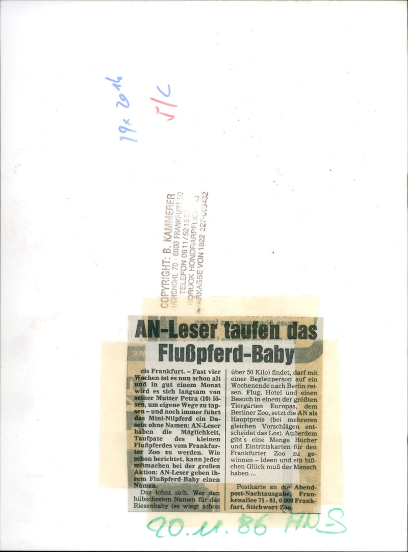 JEODE FLICH READERS BAPTIZE FLUPFER BABY EIS FRANKFURT ALMOST FOU - Vintage Photograph