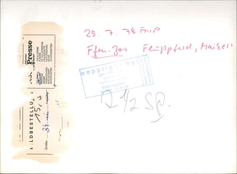 JEODE ROMANSONDAY TEACHING ZOO FLIPPFERSITE FOUILLETON AD WOMENS SINCE - Vintage Photograph