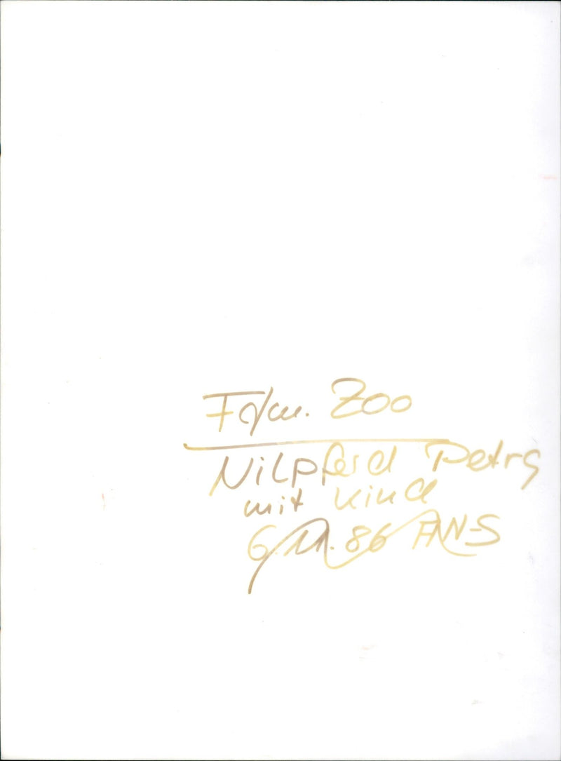 JEODE ZOO HIPPOPOTAMUS PEARS VIUA GAS ANS TIE - Vintage Photograph