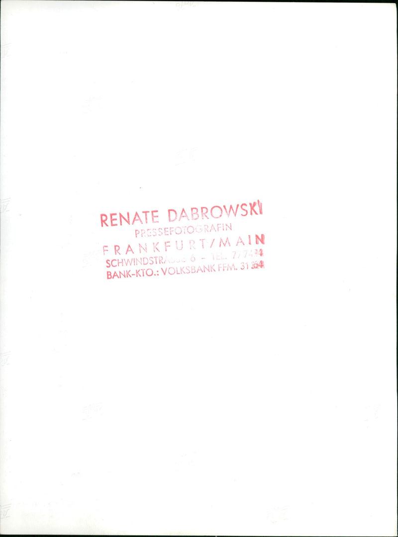 Antelopes from the Frankfurt Zoo - Vintage Photograph