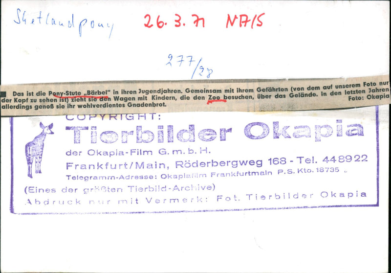 OKAP DER OKAPIA FILM FRANKFURT MAIN RODERBERGWEG TEL TELEGRAM ADDRE - Vintage Photograph