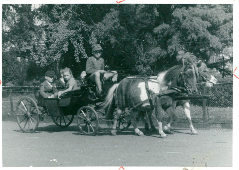 OKAP DER OKAPIA FILM FRANKFURT MAIN RODERBERGWEG TEL TELEGRAM ADDRE - Vintage Photograph