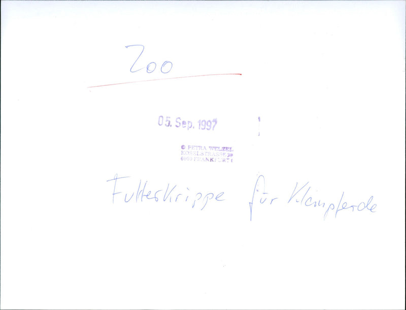 1999 KLEMPLEN ZOO AND ZWEIZER ZWEIER KLEM PLEN ZWEIGER ANDZW - Vintage Photograph