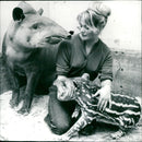 KEYSTONE PAUNDICE VERRAGOS MUSIC PERMISSION AND IDENTIFICATION OF THE SOUND - Vintage Photograph