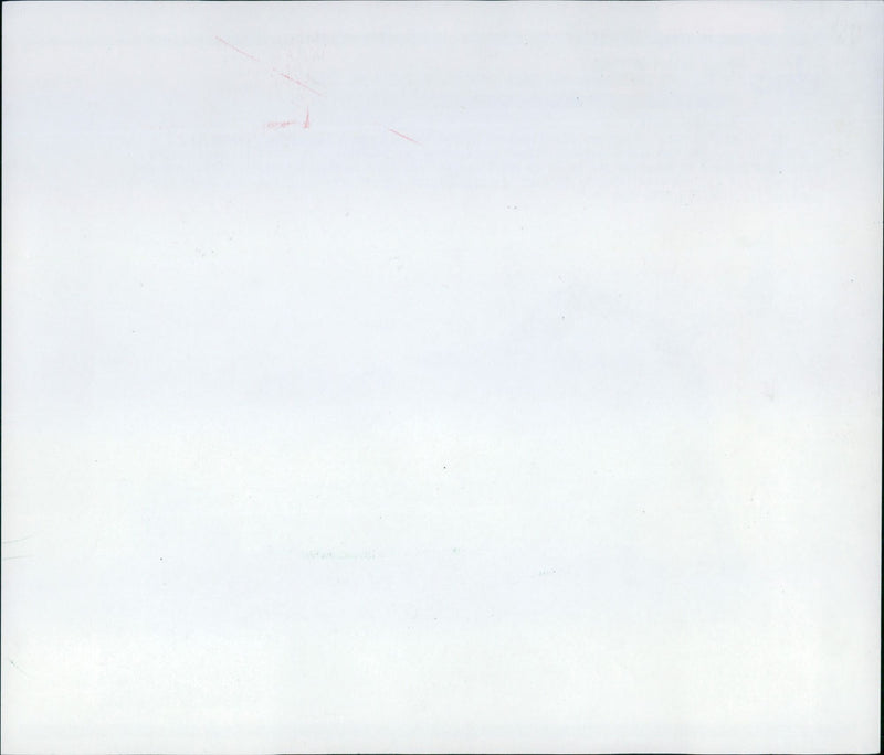 1993 PIGS GOATS HAENGEBUUCHSCHWE COMES VIET AFGHANISTAN - Vintage Photograph