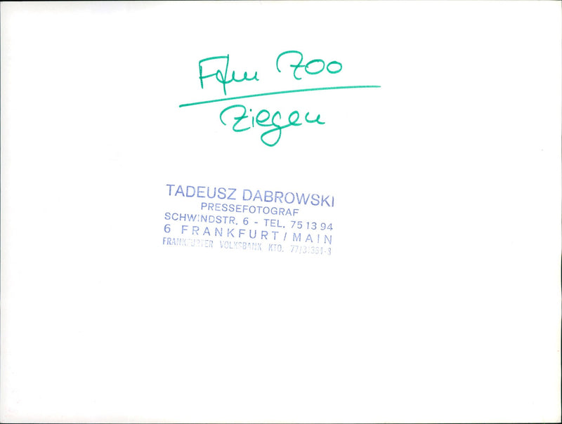 Goats in the Frankfurt Zoo - Vintage Photograph