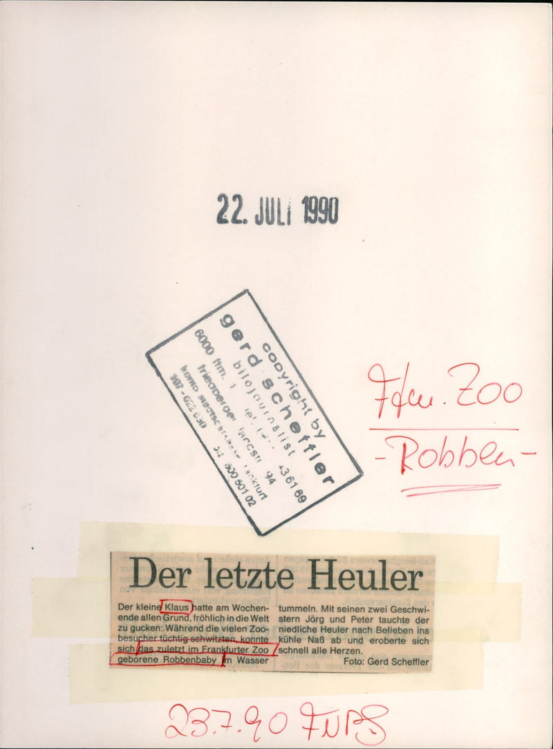 1990 SELLS HAVE DISTANCED THEMSELVES LAND SUCKERS PETER - Vintage Photograph