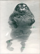 1990 SELLS HAVE DISTANCED THEMSELVES LAND SUCKERS PETER - Vintage Photograph