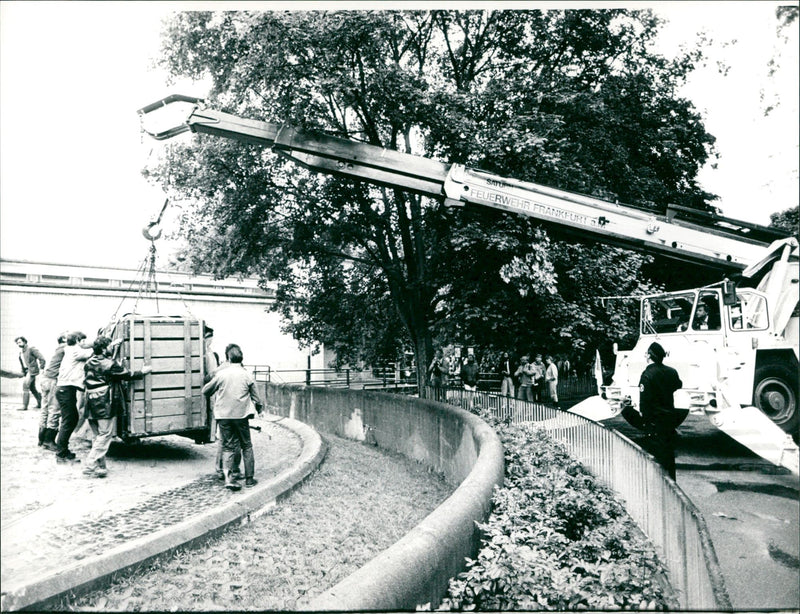 Frankfurt Zoo - Vintage Photograph