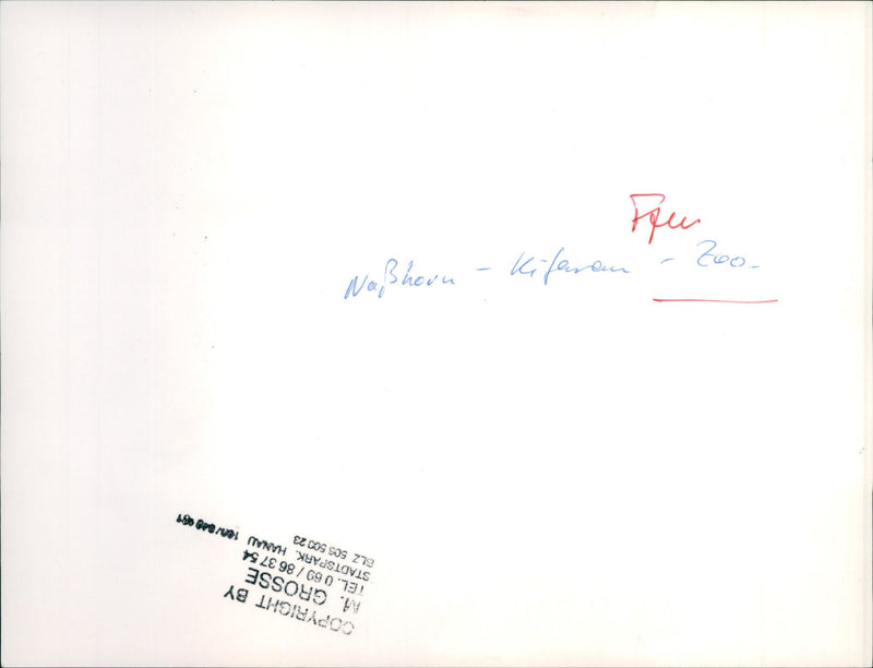 Frankfurt Zoo - Vintage Photograph