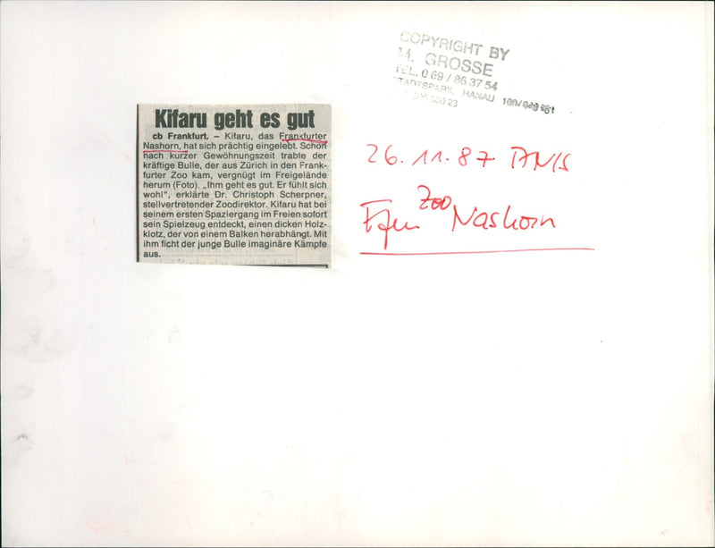 Frankfurt Zoo - Vintage Photograph