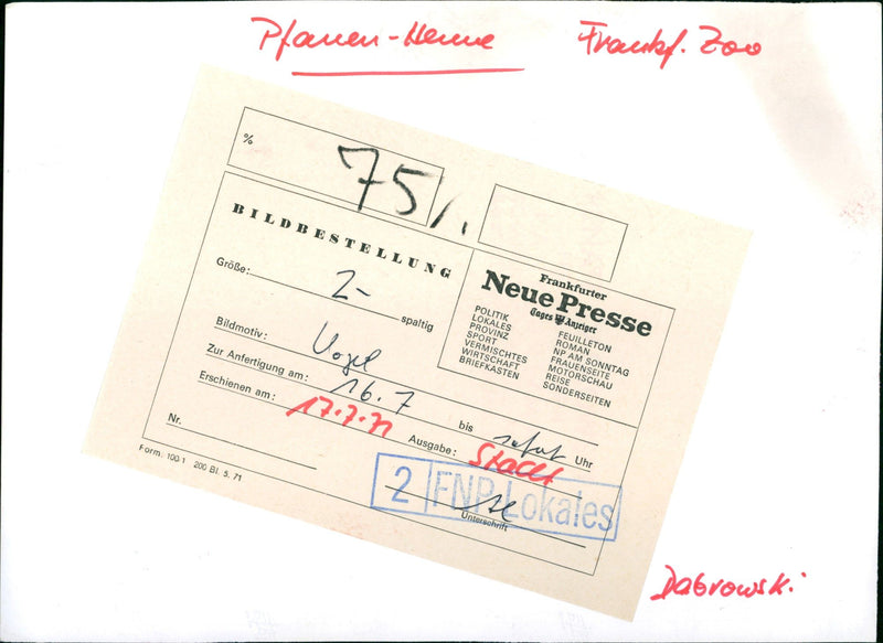 Peahen with peacock chicks - Vintage Photograph