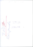 Zoo animals: red panda - Vintage Photograph