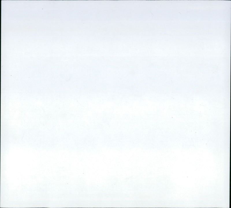 Zoo animals: bear - Vintage Photograph